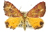  ( - 11ANIC-06546)  @13 [ ] CreativeCommons - Attribution (2011) ANIC/CBG Photography Group Centre for Biodiversity Genomics