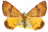  ( - 11ANIC-06549)  @14 [ ] CreativeCommons - Attribution (2011) ANIC/CBG Photography Group Centre for Biodiversity Genomics