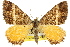  ( - 11ANIC-06586)  @15 [ ] CreativeCommons - Attribution (2011) ANIC/CBG Photography Group Centre for Biodiversity Genomics