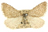  ( - 11ANIC-06607)  @14 [ ] CreativeCommons - Attribution (2011) ANIC/CBG Photography Group Centre for Biodiversity Genomics