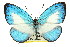  ( - 11ANIC-06665)  @14 [ ] CreativeCommons - Attribution (2011) ANIC/CBG Photography Group Centre for Biodiversity Genomics
