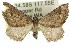  ( - 11ANIC-06784)  @13 [ ] CreativeCommons - Attribution (2011) ANIC/CBG Photography Group Centre for Biodiversity Genomics