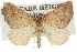  ( - 11ANIC-06785)  @13 [ ] CreativeCommons - Attribution (2011) ANIC/CBG Photography Group Centre for Biodiversity Genomics