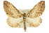  ( - 11ANIC-06836)  @11 [ ] CreativeCommons - Attribution (2011) ANIC/CBG Photography Group Centre for Biodiversity Genomics