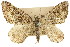  ( - 11ANIC-07004)  @11 [ ] CreativeCommons - Attribution (2011) ANIC/CBG Photography Group Centre for Biodiversity Genomics