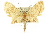  ( - 11ANIC-07295)  @14 [ ] CreativeCommons - Attribution (2011) ANIC/CBG Photography Group Centre for Biodiversity Genomics