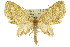  ( - 11ANIC-07296)  @11 [ ] CreativeCommons - Attribution (2011) ANIC/CBG Photography Group Centre for Biodiversity Genomics