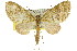  ( - 11ANIC-07298)  @14 [ ] CreativeCommons - Attribution (2011) ANIC/CBG Photography Group Centre for Biodiversity Genomics