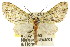  ( - 11ANIC-07320)  @11 [ ] CreativeCommons - Attribution (2011) ANIC/CBG Photography Group Centre for Biodiversity Genomics
