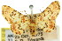  ( - 11ANIC-07361)  @11 [ ] CreativeCommons - Attribution (2011) ANIC/CBG Photography Group Centre for Biodiversity Genomics