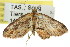  ( - 11ANIC-07407)  @14 [ ] CreativeCommons - Attribution (2011) ANIC/CBG Photography Group Centre for Biodiversity Genomics
