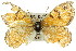  (Geitoneura minyas - 11ANIC-07442)  @12 [ ] CreativeCommons - Attribution (2011) ANIC/CBG Photography Group Centre for Biodiversity Genomics