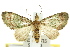  ( - 11ANIC-07522)  @11 [ ] CreativeCommons - Attribution (2011) ANIC/CBG Photography Group Centre for Biodiversity Genomics