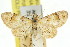  (Chloroclystis bryodes - 11ANIC-07532)  @11 [ ] CreativeCommons - Attribution (2011) ANIC/CBG Photography Group Centre for Biodiversity Genomics