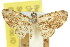  ( - 11ANIC-07557)  @11 [ ] CreativeCommons - Attribution (2011) ANIC/CBG Photography Group Centre for Biodiversity Genomics
