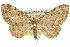  ( - 11ANIC-07620)  @13 [ ] CreativeCommons - Attribution (2011) ANIC/CBG Photography Group Centre for Biodiversity Genomics