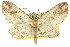  ( - 11ANIC-07630)  @14 [ ] CreativeCommons - Attribution (2011) ANIC/CBG Photography Group Centre for Biodiversity Genomics