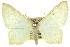  ( - 11ANIC-07653)  @11 [ ] CreativeCommons - Attribution (2011) ANIC/CBG Photography Group Centre for Biodiversity Genomics