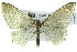  ( - 11ANIC-07701)  @15 [ ] CreativeCommons - Attribution (2011) ANIC/CBG Photography Group Centre for Biodiversity Genomics