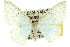  ( - 11ANIC-07713)  @14 [ ] CreativeCommons - Attribution (2011) ANIC/CBG Photography Group Centre for Biodiversity Genomics