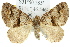  ( - 11ANIC-07892)  @14 [ ] CreativeCommons - Attribution (2011) ANIC/CBG Photography Group Centre for Biodiversity Genomics