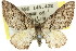  ( - 11ANIC-07904)  @11 [ ] CreativeCommons - Attribution (2011) ANIC/CBG Photography Group Centre for Biodiversity Genomics
