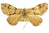  ( - 11ANIC-07908)  @11 [ ] CreativeCommons - Attribution (2011) ANIC/CBG Photography Group Centre for Biodiversity Genomics