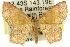  (Cleptocosmia - 11ANIC-07912)  @15 [ ] CreativeCommons - Attribution (2011) ANIC/CBG Photography Group Centre for Biodiversity Genomics