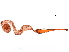  ( - 11ANIC-09212)  @11 [ ] CreativeCommons - Attribution (2019) CBG Photography Group Centre for Biodiversity Genomics