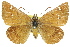  ( - 11ANIC-08029)  @11 [ ] CreativeCommons - Attribution (2011) ANIC/CBG Photography Group Centre for Biodiversity Genomics