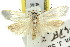  ( - 11ANIC-08144)  @12 [ ] CreativeCommons - Attribution (2011) ANIC/CBG Photography Group Centre for Biodiversity Genomics