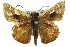  ( - 11ANIC-08212)  @11 [ ] CreativeCommons - Attribution (2011) ANIC/CBG Photography Group Centre for Biodiversity Genomics