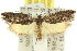  ( - 11ANIC-08556)  @14 [ ] CreativeCommons - Attribution (2011) ANIC/CBG Photography Group Centre for Biodiversity Genomics