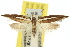  ( - 11ANIC-08569)  @11 [ ] CreativeCommons - Attribution (2011) ANIC/CBG Photography Group Centre for Biodiversity Genomics