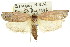  ( - 11ANIC-08595)  @14 [ ] CreativeCommons - Attribution (2011) ANIC/CBG Photography Group Centre for Biodiversity Genomics