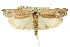  ( - 11ANIC-08597)  @13 [ ] CreativeCommons - Attribution (2011) ANIC/CBG Photography Group Centre for Biodiversity Genomics