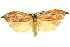  ( - 11ANIC-08606)  @14 [ ] CreativeCommons - Attribution (2011) ANIC/CBG Photography Group Centre for Biodiversity Genomics