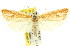  ( - 11ANIC-08661)  @14 [ ] CreativeCommons - Attribution (2011) ANIC/CBG Photography Group Centre for Biodiversity Genomics