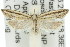  ( - 11ANIC-08728)  @12 [ ] CreativeCommons - Attribution (2011) ANIC/CBG Photography Group Centre for Biodiversity Genomics