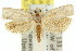  ( - 11ANIC-08862)  @13 [ ] CreativeCommons - Attribution (2011) ANIC/CBG Photography Group Centre for Biodiversity Genomics