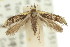  ( - 11ANIC-08886)  @13 [ ] CreativeCommons - Attribution (2011) ANIC/CBG Photography Group Centre for Biodiversity Genomics