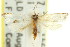  ( - 11ANIC-08967)  @11 [ ] CreativeCommons - Attribution (2011) ANIC/CBG Photography Group Centre for Biodiversity Genomics