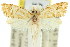  ( - 11ANIC-09331)  @11 [ ] CreativeCommons - Attribution (2011) ANIC/CBG Photography Group Centre for Biodiversity Genomics