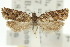  ( - 11ANIC-09836)  @11 [ ] CreativeCommons - Attribution (2011) ANIC/CBG Photography Group Centre for Biodiversity Genomics