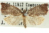  ( - 11ANIC-09873)  @11 [ ] CreativeCommons - Attribution (2011) ANIC/CBG Photography Group Centre for Biodiversity Genomics