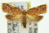  ( - 11ANIC-09880)  @11 [ ] CreativeCommons - Attribution (2011) ANIC/CBG Photography Group Centre for Biodiversity Genomics