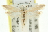  ( - 11ANIC-10103)  @13 [ ] CreativeCommons - Attribution (2011) ANIC/CBG Photography Group Centre for Biodiversity Genomics
