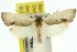  ( - 11ANIC-10154)  @14 [ ] CreativeCommons - Attribution (2011) ANIC/CBG Photography Group Centre for Biodiversity Genomics