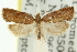  ( - 11ANIC-10185)  @11 [ ] CreativeCommons - Attribution (2011) ANIC/CBG Photography Group Centre for Biodiversity Genomics