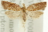  ( - 11ANIC-10186)  @11 [ ] CreativeCommons - Attribution (2011) ANIC/CBG Photography Group Centre for Biodiversity Genomics